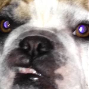 Meet your Posher, Ray